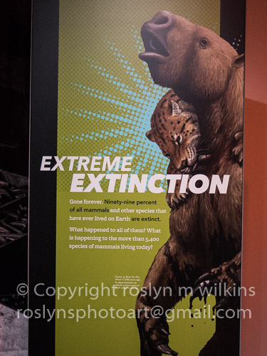 extreme-mammals-091017-045-C-500px